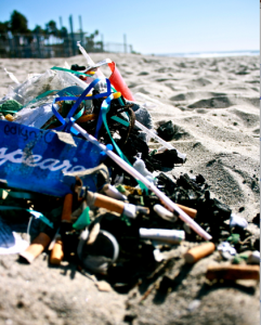 Carmel Valley San Diego Community | Trash on Beach | Skye Rainey