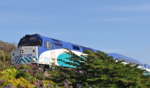 Carmel Valley San Diego Community | Holiday Travel and Kids | Christina Small