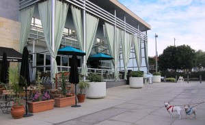 Carmel Valley San Diego Community | Shade Manhattan Beach | Cynthia Dial