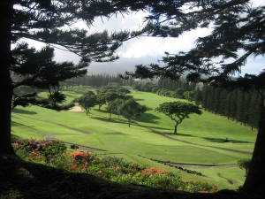 Carmel Valley San Diego Community | Cynthia Dial | Hawaii Maui Golf