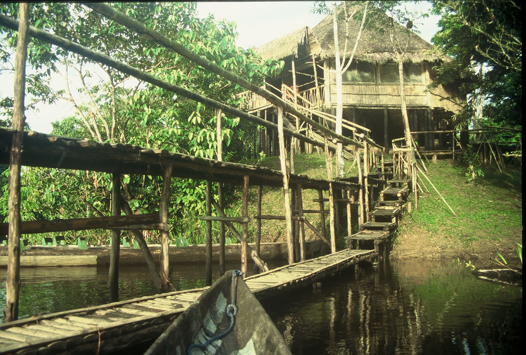 Carmel Valley Resident Shares Amazing Amazon