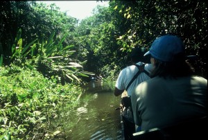 Carmel Valley San Diego Community | Cynthia Dial | Amazon River Canoe Jungle