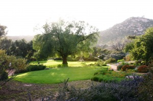 Carmel Valley San Diego Community | Cynthia Dial | Pepper Tree