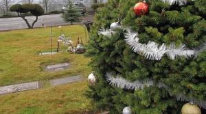 Carmel Valley San Diego Community | Dr. Kanner | Sadness during the Holidays