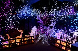 Carmel Valley San Diego Community | Darcie Czajkowski | Christmas