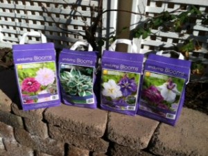 Carmel Valley San Diego Community | Stevie Hall | Flower Seed Packets