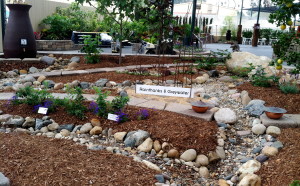 Carmel Valley San Diego Community | Stevie Hall | Rainthanks & Greywater