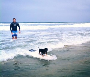 Carmel Valley San Diego Community | Christine Ellingsen | Surfer Dog