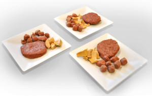 Carmel Valley San Diego Community | Ashley - Dirty Dogs| Raw Dog Food