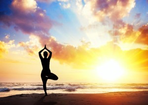 Carmel Valley San Diego Community | Nischala Joy Devi Soul of Yoga
