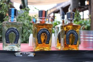 Carmel Valley San Diego Community | Katherine Randall | Herradura Tequila