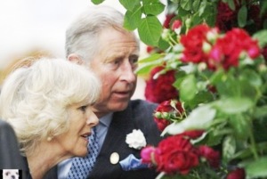 Carmel Valley San Diego Community | Gwen Coronado | Prince Charles Talks to His  Plants