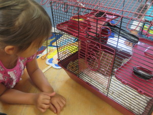 Carmel Valley San Diego Community | Kristin Rude | Child and Hamster