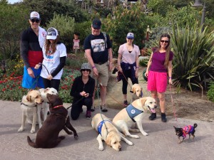 Carmel Valley San Diego Community | John Van Zante | 5K Paw Walk - Group
