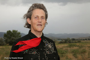 Carmel Valley San Diego Community | Jen Clark | TempleGrandin_Headshot