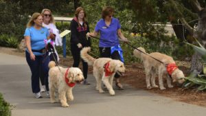 Carmel Valley San Diego Community | John Van Zante | 5K Paw Walk