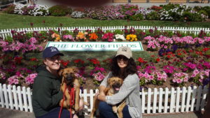 Carmel Valley San Diego Community | John Van Zante | Carlsbad Flower Fields