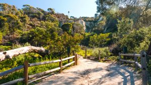 Annie's Canyon Trail