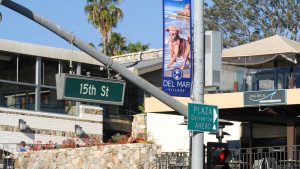 Del Mar Dog Beach